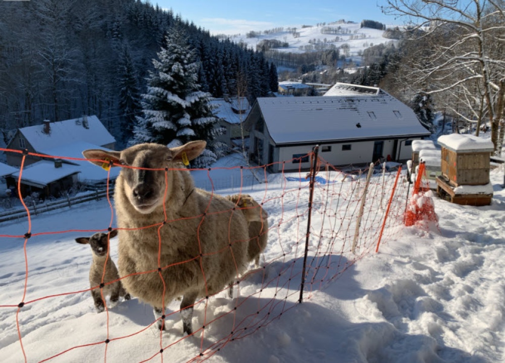 Apartmán Peklo - Vrchlabí