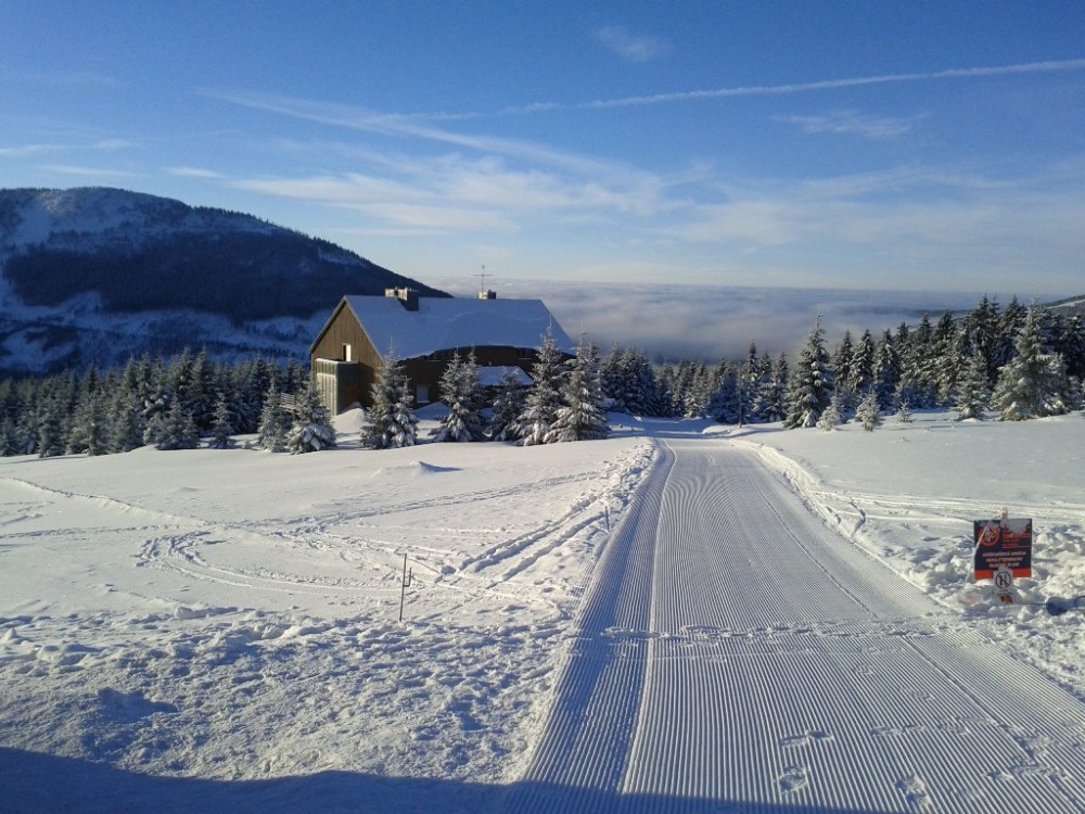 Toboggan run